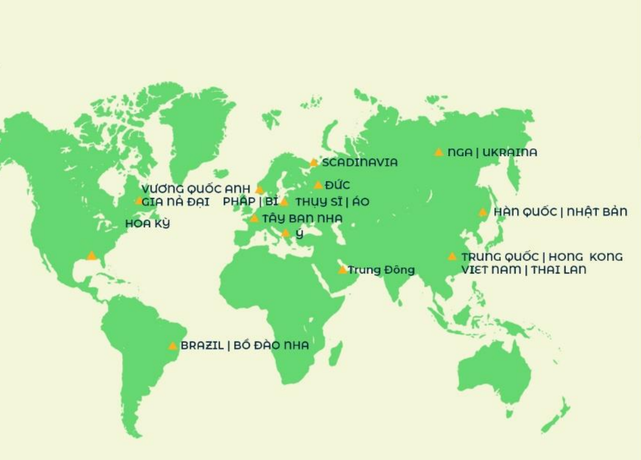 Bản đồ mạng lưới